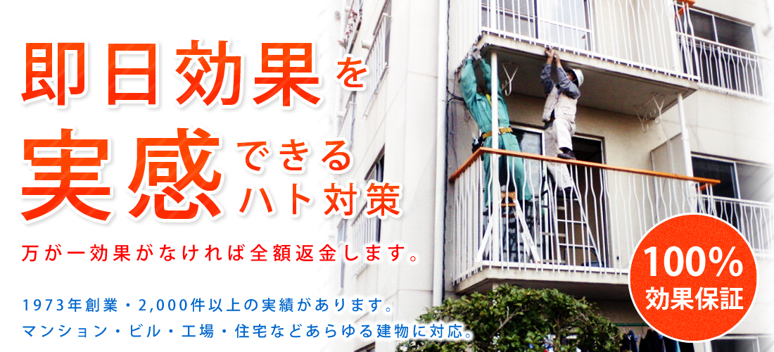 鳩対策・ネット取り付け・駆除・巣撤去・清掃・消毒