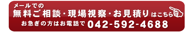 東京の鳩対策・駆除の業者/株式会社ピーシープロテック