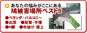 鳩対策、被害場所別対策法