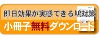 鳩対策ダウンロード