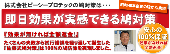 東京の鳩対策・駆除の業者/株式会社ピーシープロテック